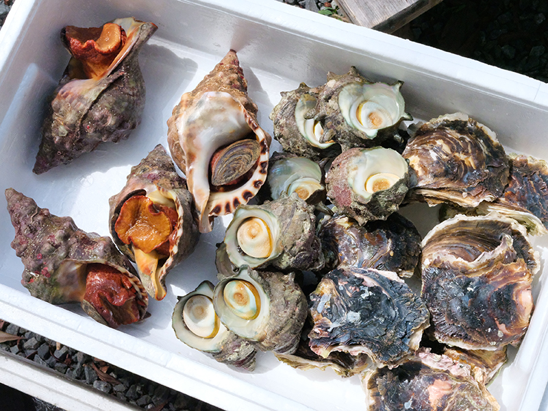 q アッパッパ屋はなれ あっぱっぱ家 三重度会郡南伊勢町